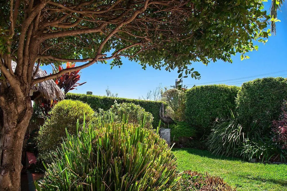 Coast Yamba (Adults Only) Hotel 4*,